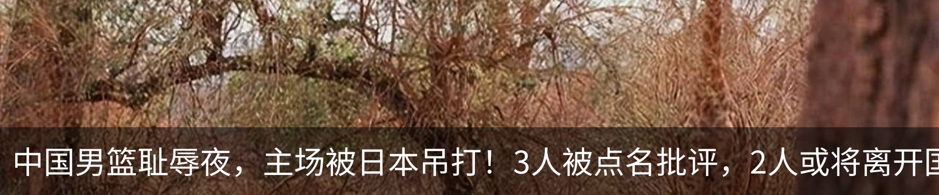 新闻动态